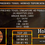 PREDIKSI TOGEL SINGAPORE POOLS 24 AGUSTUS 2025