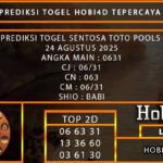 PREDIKSI TOGEL SENTOSATOTO POOLS 24 AGUSTUS 2025