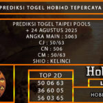 PREDIKSI TOGEL TAIPEI POOLS 24 AGUSTUS 2025