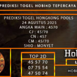 PREDIKSI TOGEL HONGKONG POOLS 24 AGUSTUS 2025