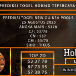 PREDIKSI TOGEL NEW GUINEA POOLS 25 AGUSTUS 2025