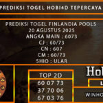 PREDIKSI TOGEL FINLANDIA POOLS 20 AGUSTUS 2025