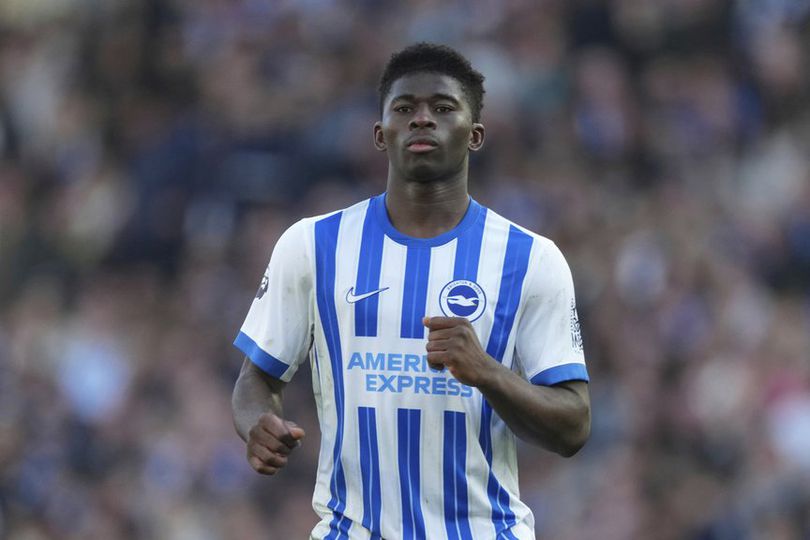 library_upload_21_2025_08_996x664_ap25069434412886_0b95804 (1)