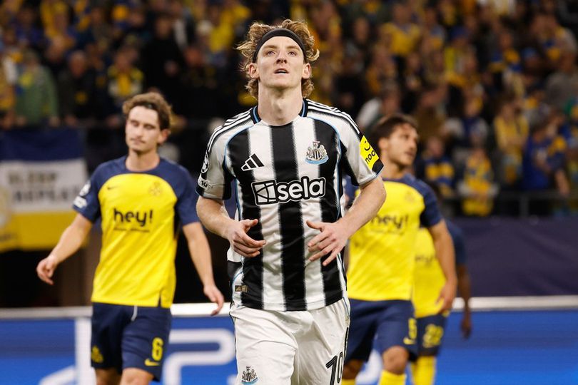 library_upload_21_2025_10_996x664_anthony-gordon-newca_10ee2cd