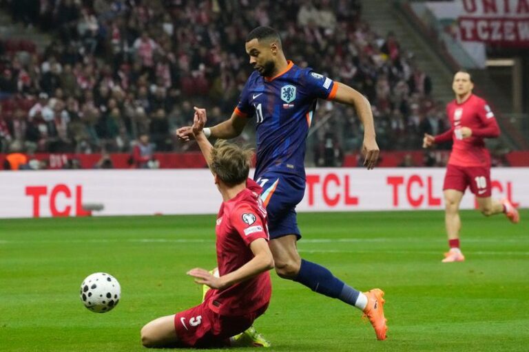 library_upload_21_2025_11_996x664_ap25318719565173-1_6ae8afb