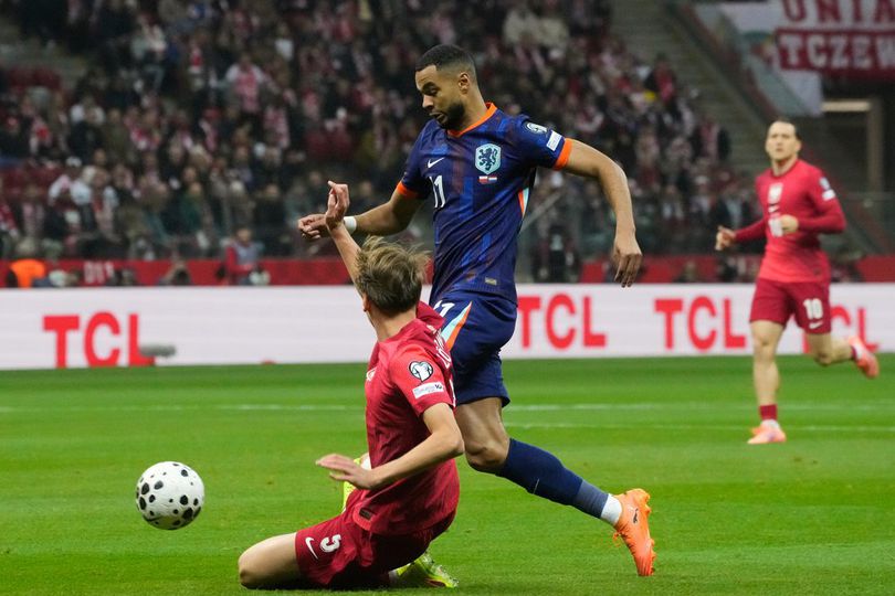 library_upload_21_2025_11_996x664_ap25318719565173-1_6ae8afb