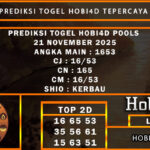 togel ni bos