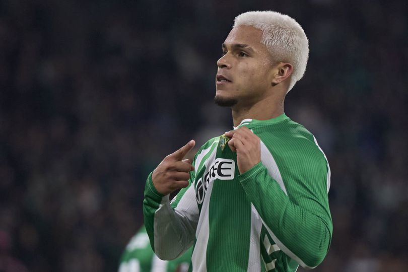 library_upload_21_2025_12_996x664_chucho-1_ae0b573