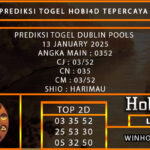 DUBLIN POOLS 13 JANUARY 2025