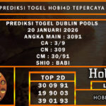 PREDIKSI TOGEL DUBLIN POOLS 20 JANUARI 2026