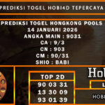 PREDIKSI TOGEL HONGKONG POOLS 14 JANUARI 2026