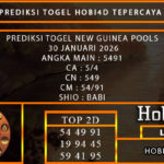 PREDIKSI TOGEL NEW GUINEA POOLS 30 JANUARI 2026