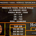 PREDIKSI TOGEL DUBLIN POOLS 11 JANUARI 2026