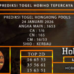 PREDIKSI TOGEL HONGKONG POOLS 24 JANUARI 2026