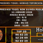 PREDIKSI TOGEL NEW GUINEA POOLS 11 JANUARI 2026