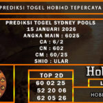 PREDIKSI TOGEL SYDNEY POOLS 15 JANUARI 2026