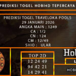 PREDIKSI TOGEL TRAVELOKA POOLS 29 JANUARI 2026
