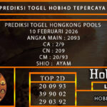 PREDIKSI TOGEL HONGKONG POOLS 10 FEBRUARI 2026